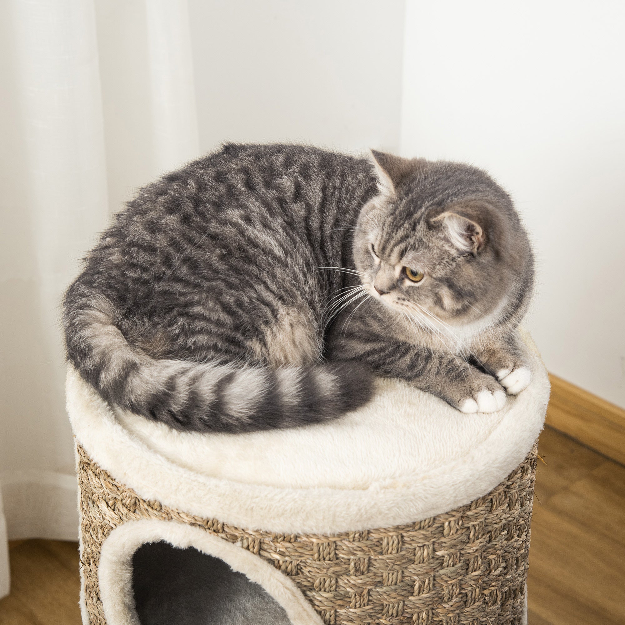 The Perfect Retreat for Your Feline Friend